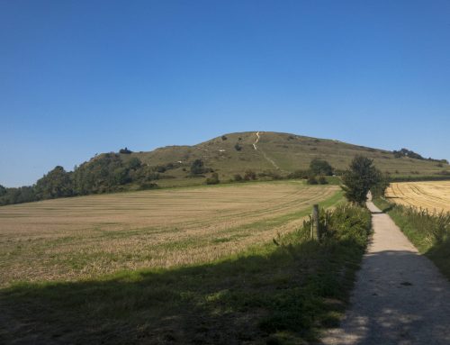 Cley Hill and other walks